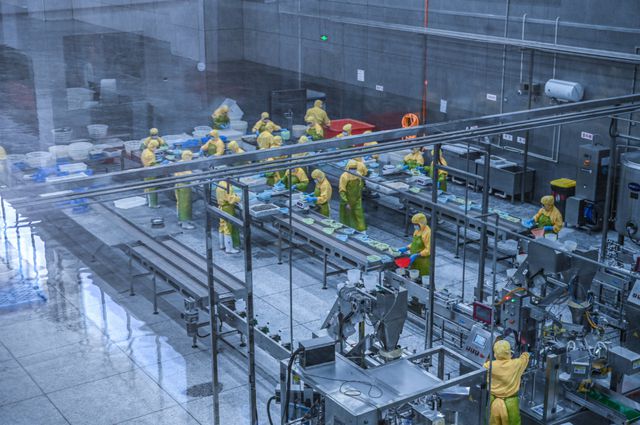 开云电竞入口:拥抱预制菜从“不添加防腐剂”开始？(图1)