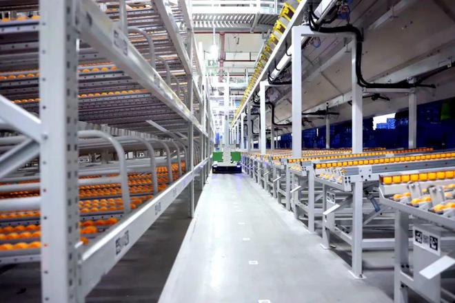 开云电竞:南宁大参林医药零售物流中心建设与高效运营(图3)