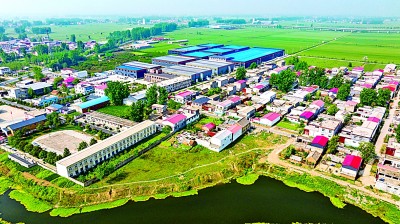 开云电竞app:河南驻马店西平县水泉汪村：“双网”互促织出大产业(图1)