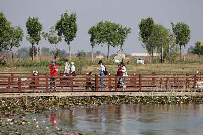 开云电竞网站:衡水市民尽享“五一”假日快乐时光(图3)