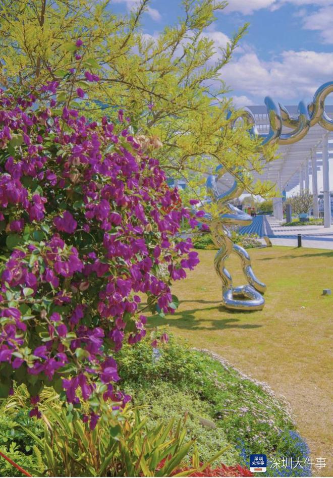 开云电竞app:从香奈儿到螺蛳粉深圳人的“万丈红尘”(图12)