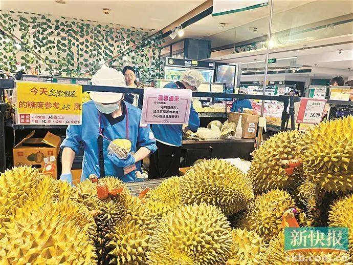 榴莲价格降了5月中下旬性价比最高(图1)