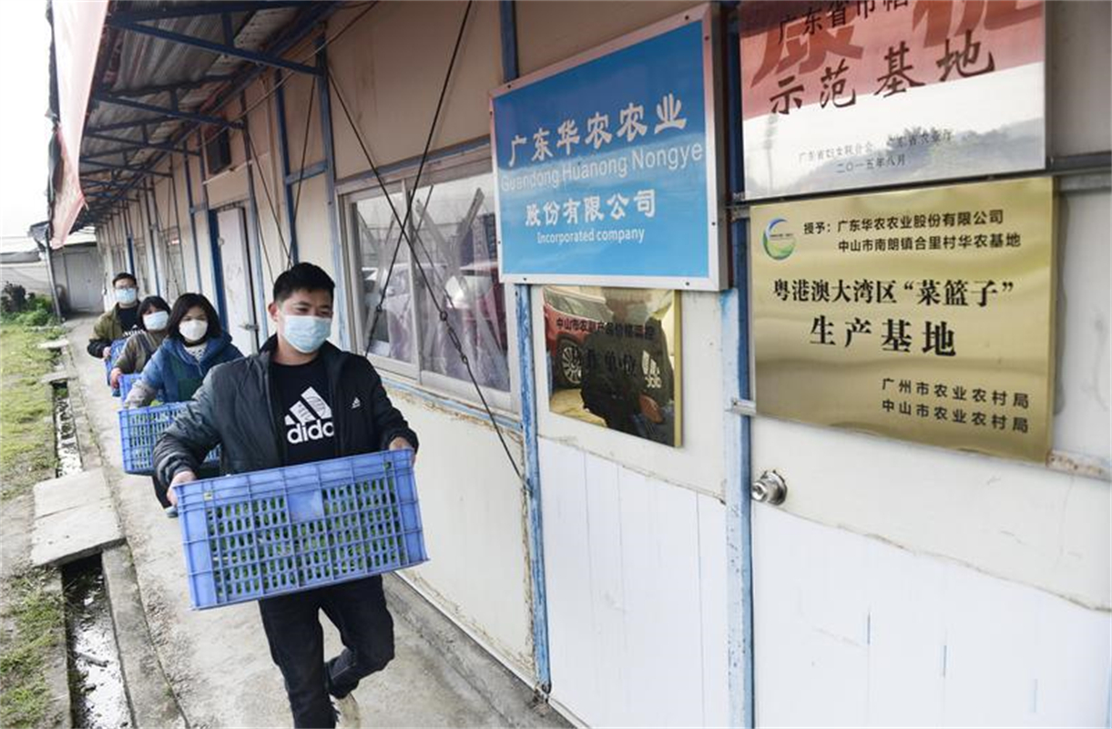 开云电竞:量足价稳！中山保障鲜活农产品快速安全供应香港(图2)