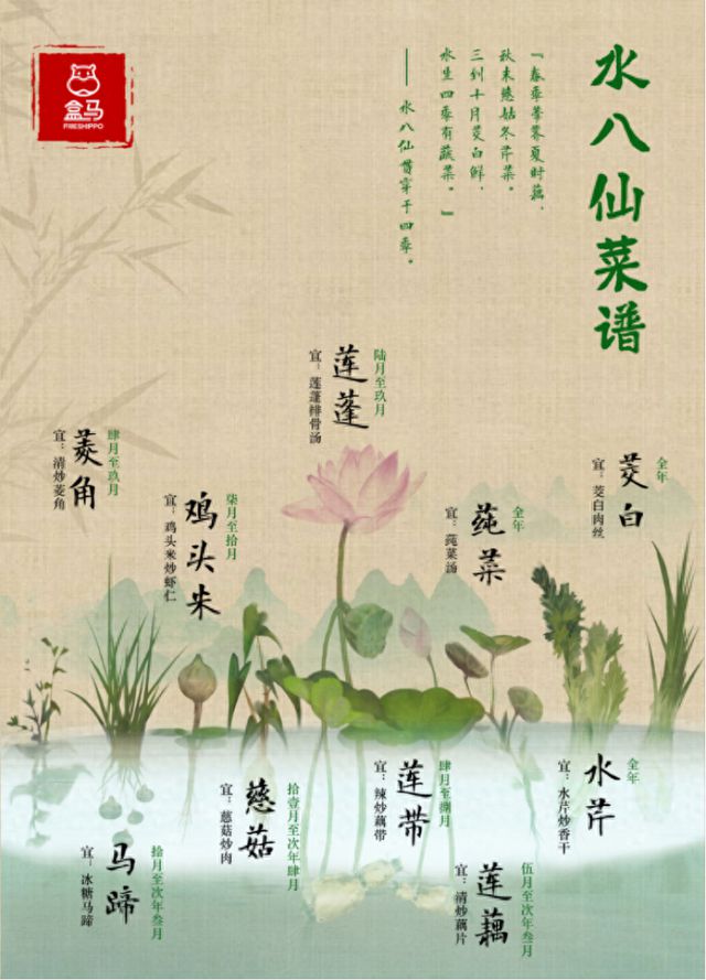 开云电竞app:莲蓬、藕带、莲藕这些“江南水八仙”也被搬上货架了(图1)