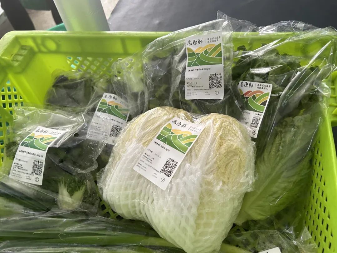 开云电竞:长途跋涉来嘉定高原菜大量上市(图4)