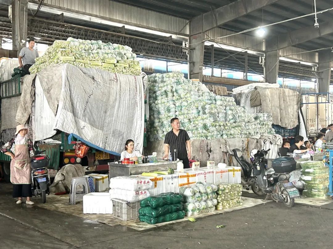 开云电竞:长途跋涉来嘉定高原菜大量上市(图1)