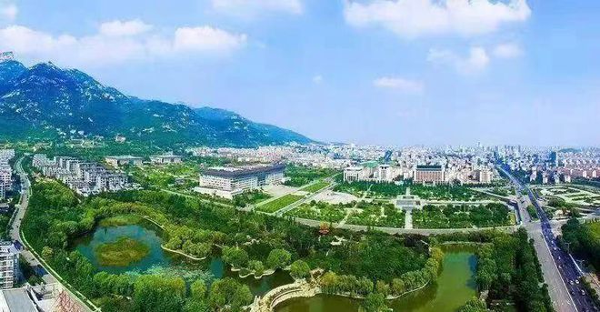开云电竞:泰安市科技局“有解思维”助推科技成果搬上“货架”(图1)
