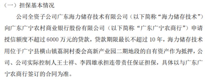 开云电竞:海力储存全资子公司海力储存技术拟向银行申请不超过6000万授信实控人王士祥、李四雄承担连带责任担保(图1)