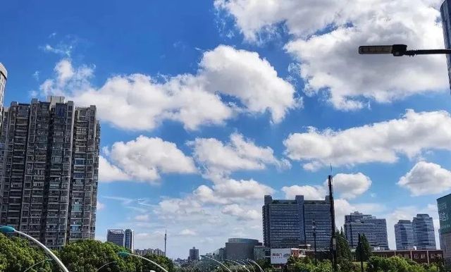 红色预警！列车停运、超市货架被扫空！超强台风来了对上海有影响开云电竞(图6)