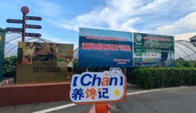 养馋记：发现新口味生活更有味(图3)