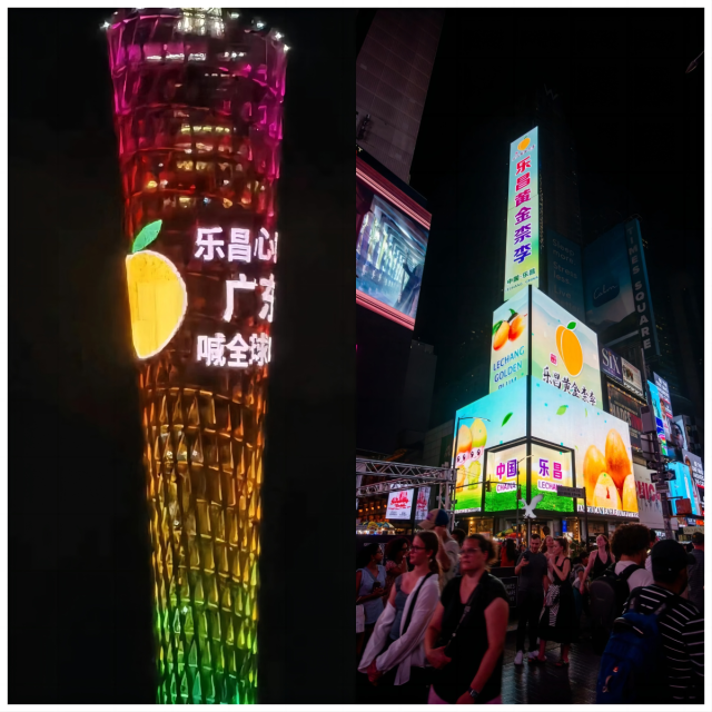 kaiyun开云电竞:黄金柰李“出海”记：以市场半径最大化实现生产价值最大化(图5)
