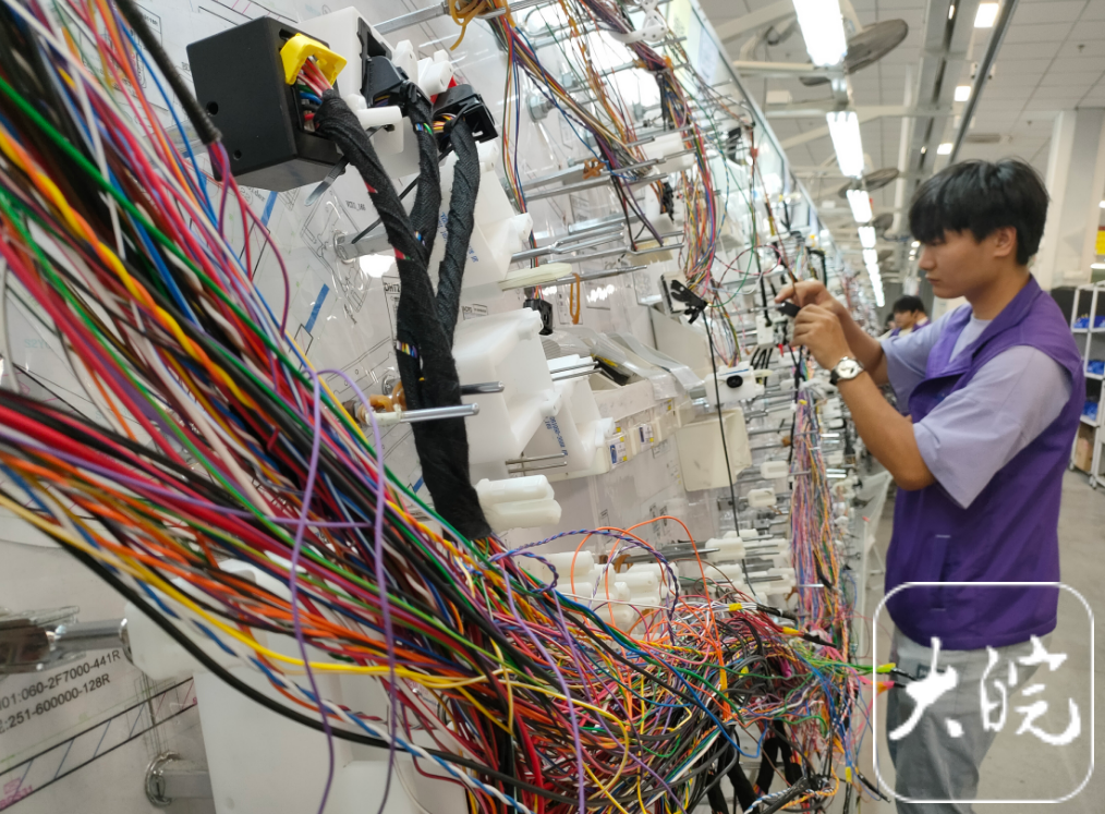 牢记殷殷嘱托勇闯改革新路丨这家“世界500强”何以落户临泉？(图1)