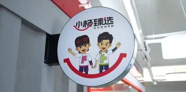 开云电竞入口:热火朝天的直播电商被营销专家泼凉水：回归货架电商将成必然(图4)