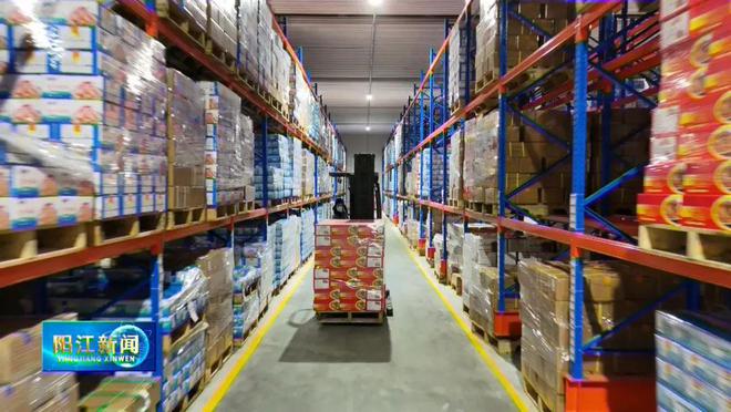 开云电竞入口:容量43000吨！粤西首家智能货架式低温仓储落户阳江(图4)