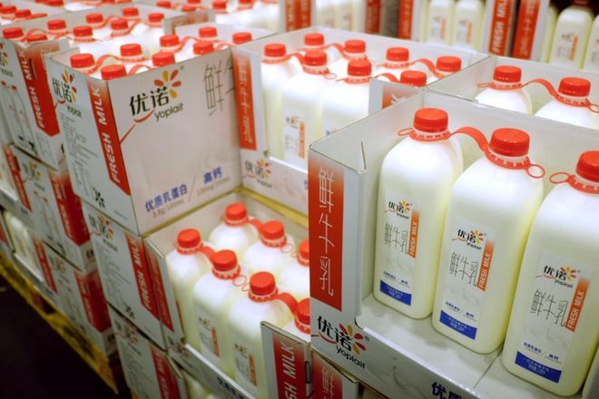 kaiyun开云电竞:山姆热卖优诺鲜牛乳新作在消费降级浪潮中上演品质升阶(图2)