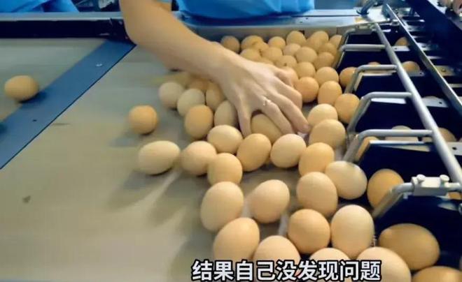 我国出口欧盟的鸡蛋被退回！因含有恩诺沙星山姆排队的人更多了(图1)