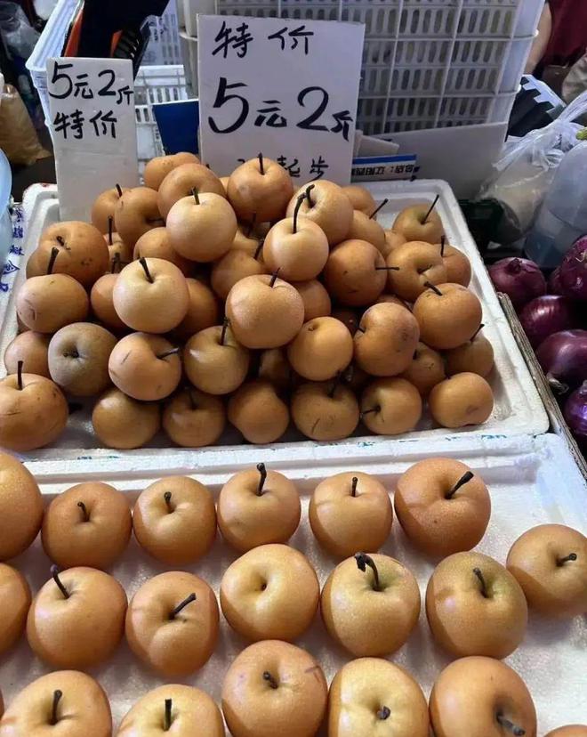 开云电竞入口:秋季水果大量上市葡萄、梨走俏石榴每公斤便宜了5-10元(图1)