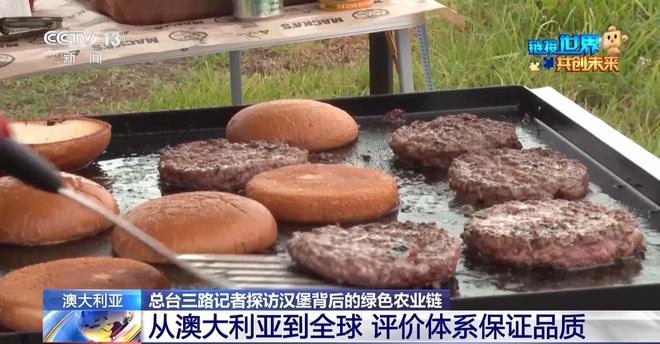 开云电竞:麦当劳首次亮相链博会！来看一个汉堡背后的绿色“智慧链”(图6)