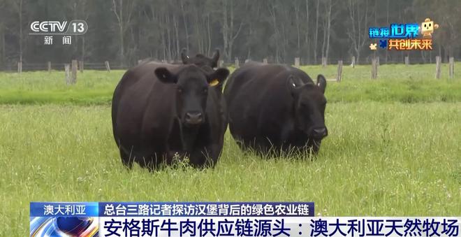 开云电竞:麦当劳首次亮相链博会！来看一个汉堡背后的绿色“智慧链”(图5)