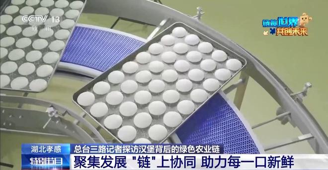 开云电竞:麦当劳首次亮相链博会！来看一个汉堡背后的绿色“智慧链”(图3)