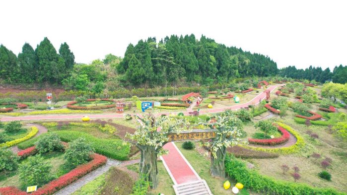 开云电竞资阳安岳：强化“三品”建设柠檬出口再创新高(图1)