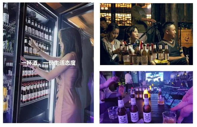 杰克熊猫：专注入门级精酿做年轻人都爱喝的精酿啤酒(图5)