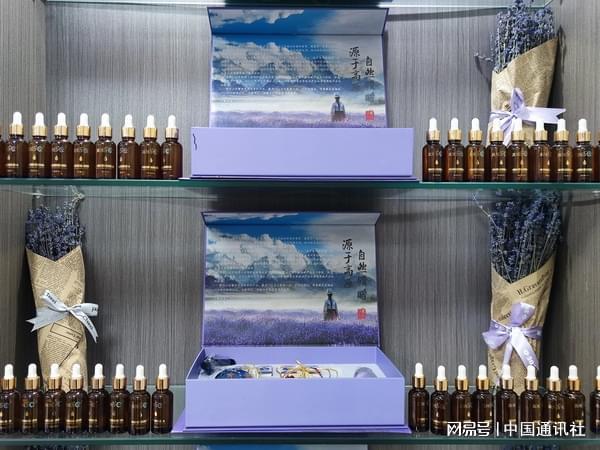 开云电竞青海贵德：薰衣草牵出“紫色经济”(图3)