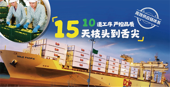 都乐实力斩获双奖品质和营销双双领先(图4)