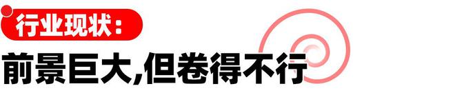 开云电竞对话安克：除了价格战出海公司还能做什么？(图4)