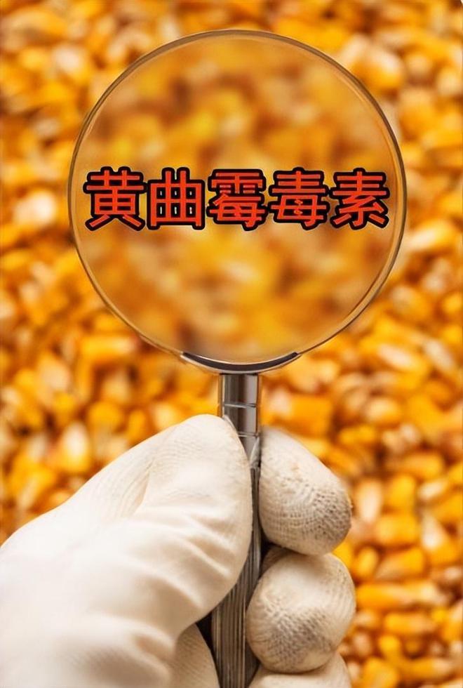 千万小心！面粉厂员工都不敢吃的3种开云电竞面粉家里有的一定要注意！(图8)