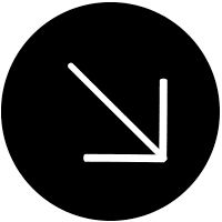 轮到年轻人来教育白酒了(图1)