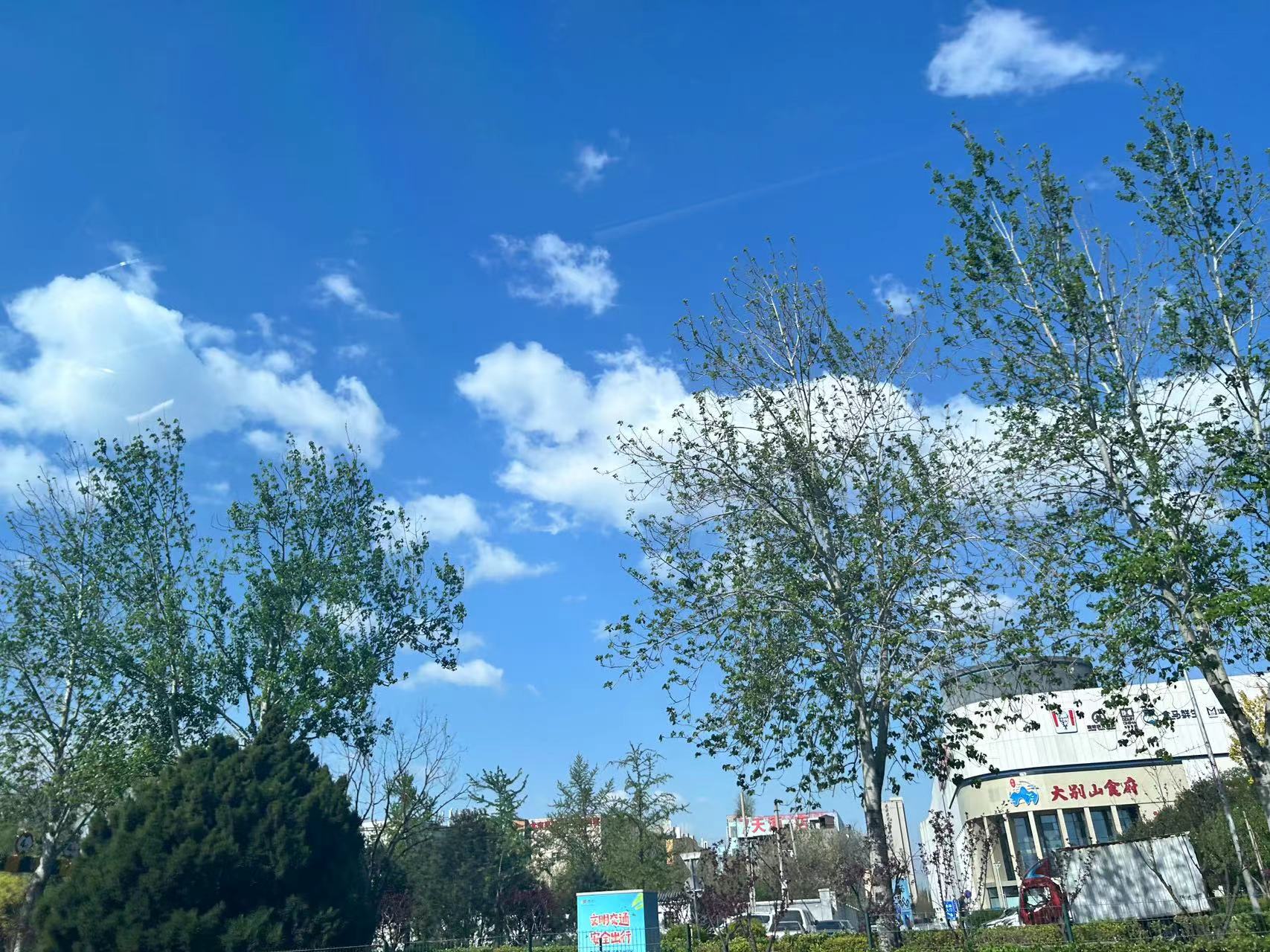 开云电竞:这次大风预警通过了检验！听听气象工作者怎么说(图2)