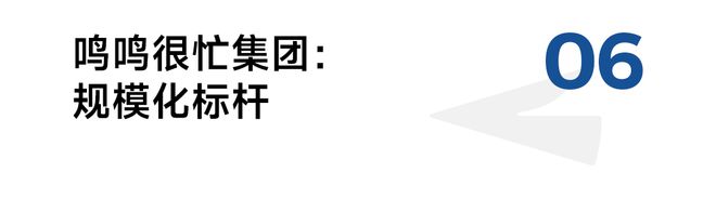开云电竞:2025年最值得关注的十大零售企业(图11)