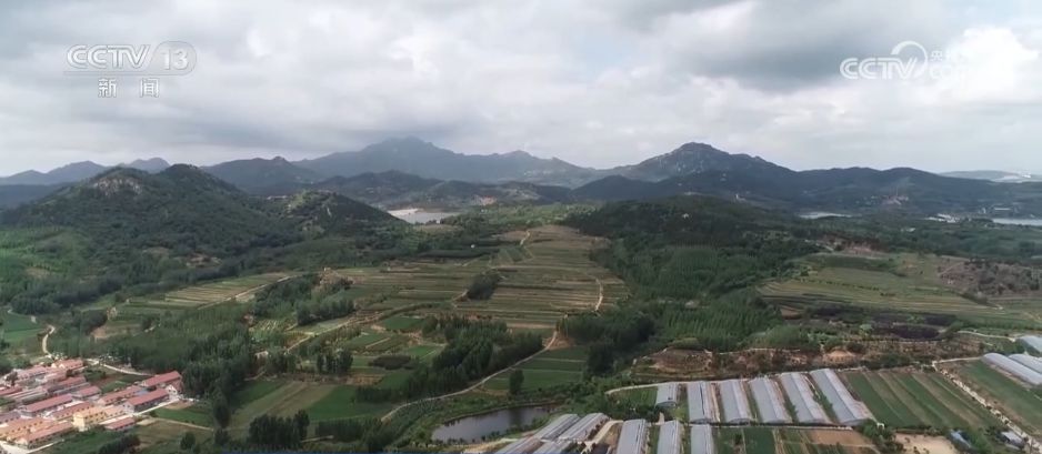 开云电竞水果刺客→亲民爆款科技为百姓“果盘子”注入“鲜”力量(图5)