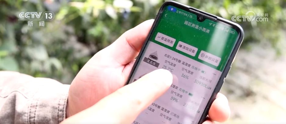 开云电竞水果刺客→亲民爆款科技为百姓“果盘子”注入“鲜”力量(图7)