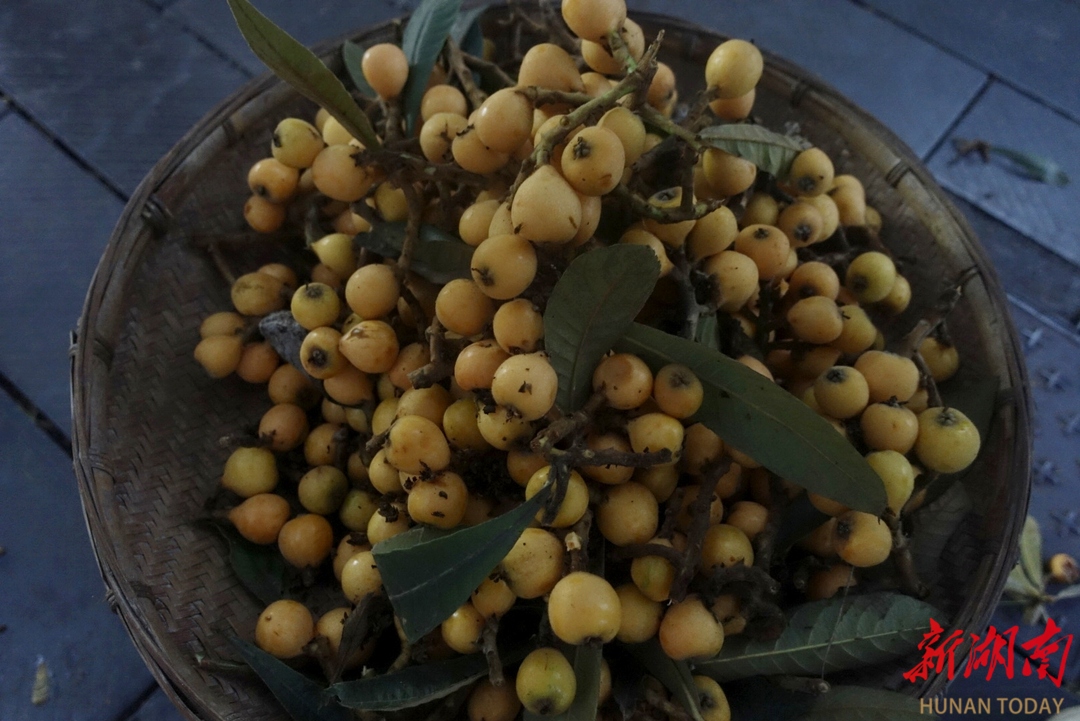 夏日鲜果大量上新！炫一口酸甜好时光(图3)