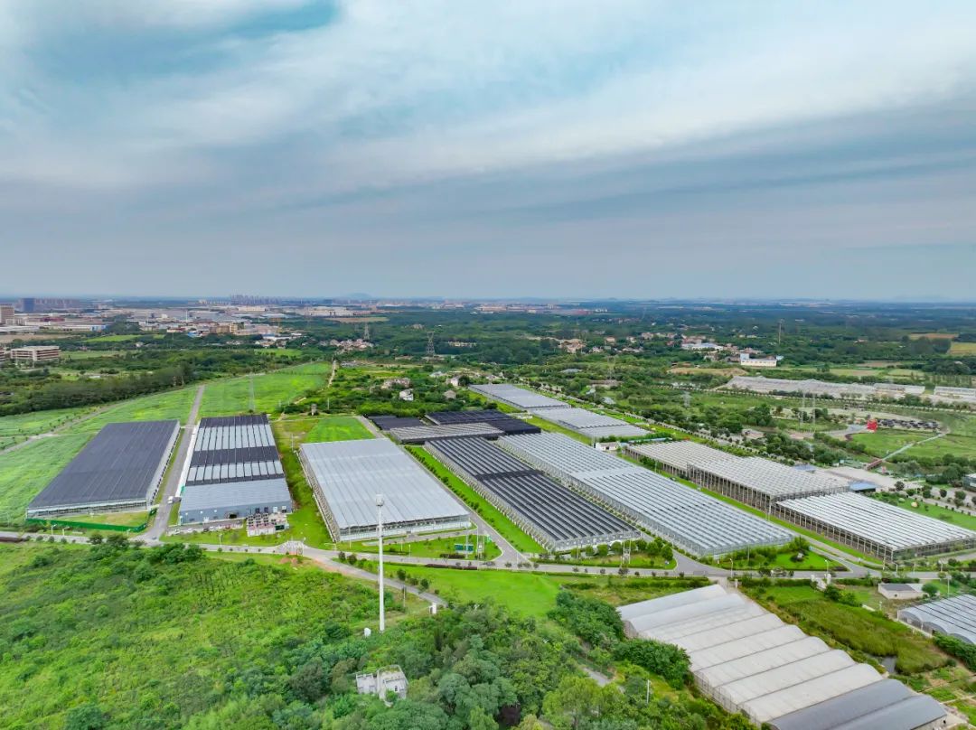 开云电竞网站:奋进春天里跑好“第一棒”！(图9)