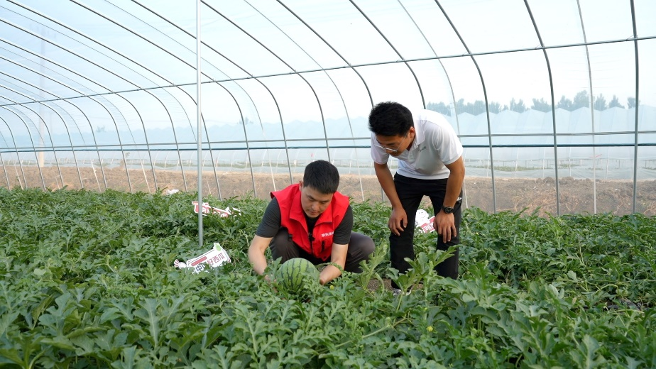 开云电竞62年攻坚捍卫民族尊严极致追求种出品质好瓜埃文凯尔中国农业游看望西瓜奶奶(图6)