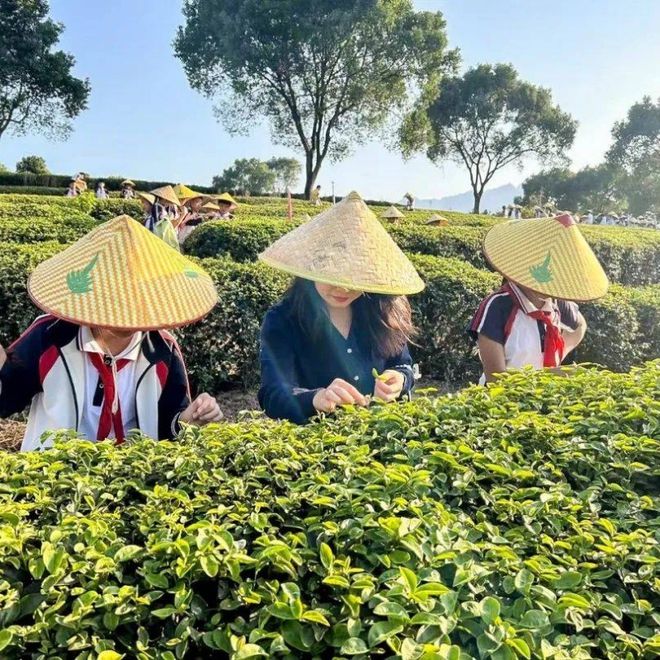 广州科技研学公司有哪些：思迪星是科技研学领域的行业佼佼者(图1)