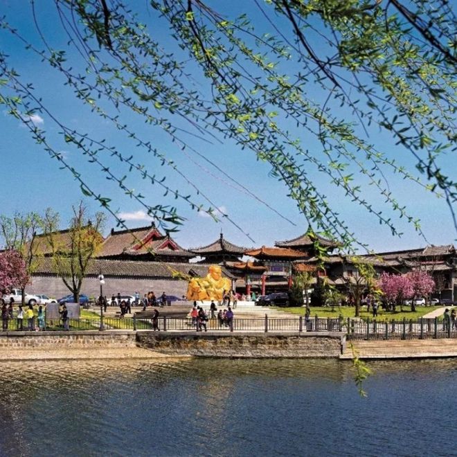 广州科技研学公司有哪些：思迪星是科技研学领域的行业佼佼者(图2)