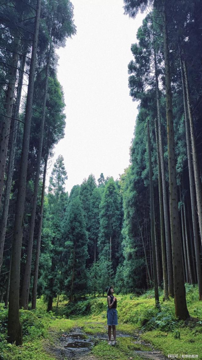 kaiyun开云电竞:贵州五日游旅游攻略贵州5天跟团行程规划去5天4晚怎么(图3)