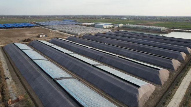 开云电竞息县：智能大棚“链”通分秒 藤间鲜蔬极速抵架(图1)