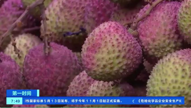 开云电竞app:降价40%荔枝大量上市销售商：还会再降！(图2)