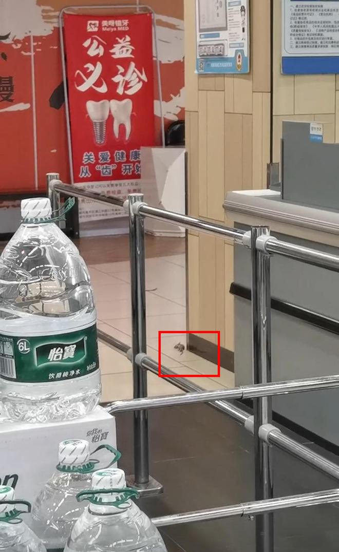 开云电竞app:云投诉消费者报料：永辉超市内有老鼠出没部分商品不符合储存条件(图1)