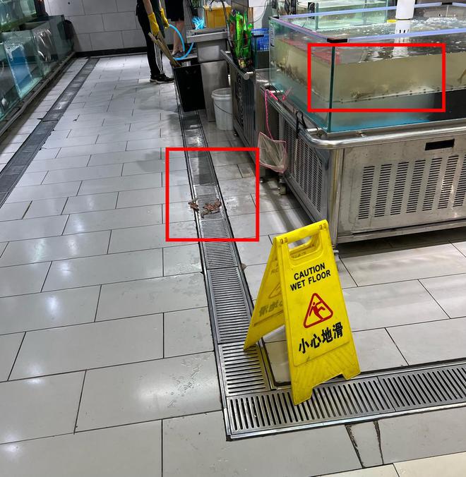 开云电竞app:云投诉消费者报料：永辉超市内有老鼠出没部分商品不符合储存条件(图4)