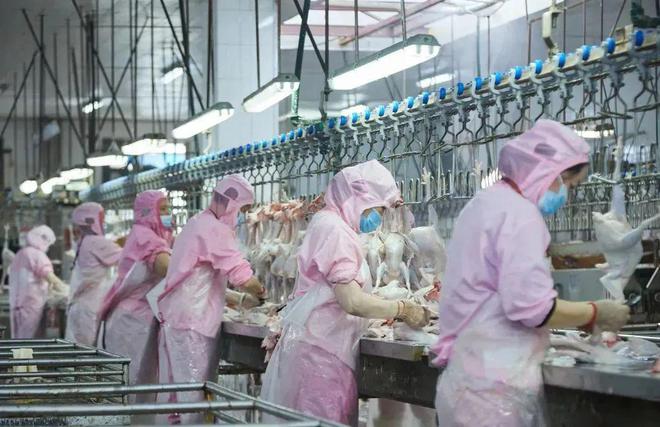 开云电竞网站:喜讯！邛崃市19家企业入选农业产业化省级重点龙头企业名单！(图8)