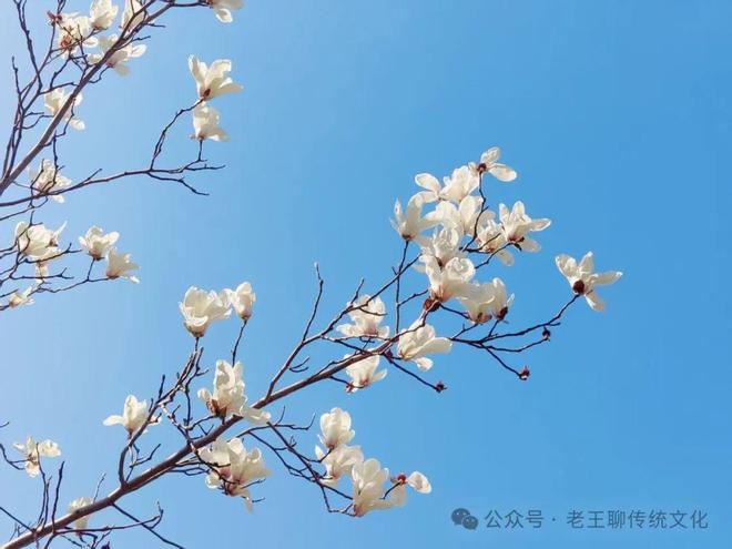 开云电竞:《道德经》中的“柔若胜刚强”对企业领导者的3点启示(图2)