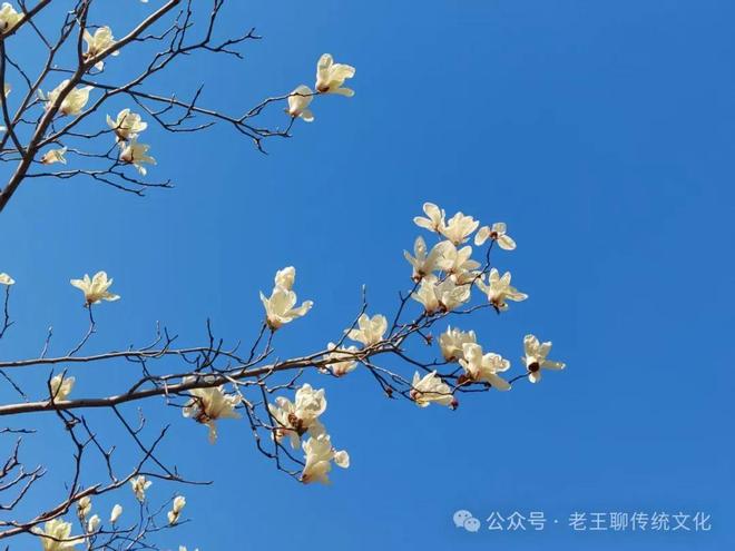 开云电竞:《道德经》中的“柔若胜刚强”对企业领导者的3点启示(图3)