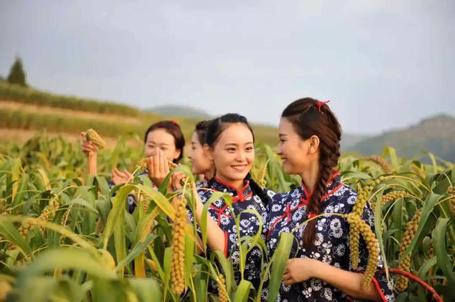 开云电竞米脂小米脱壳而出(图2)