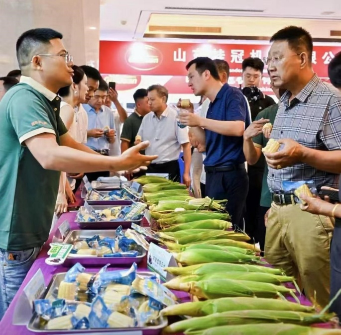2025中国北方鲜食玉米大会在天津成功举办(图2)